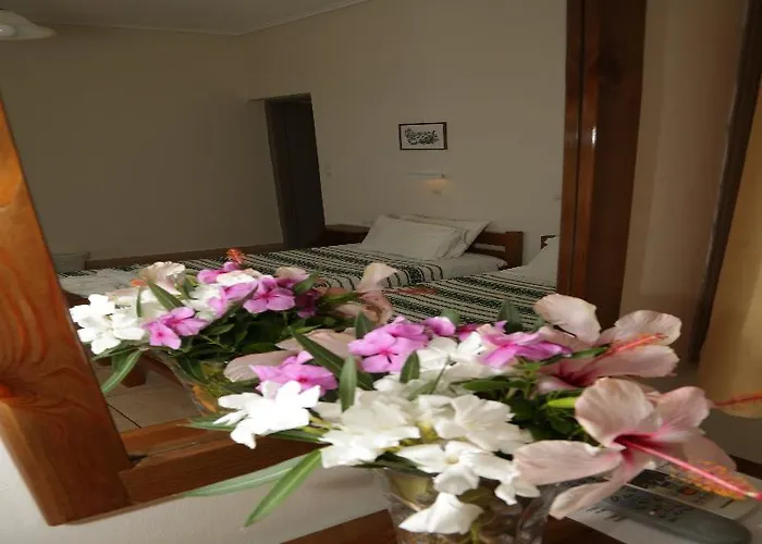 Enjoy 3* Камари